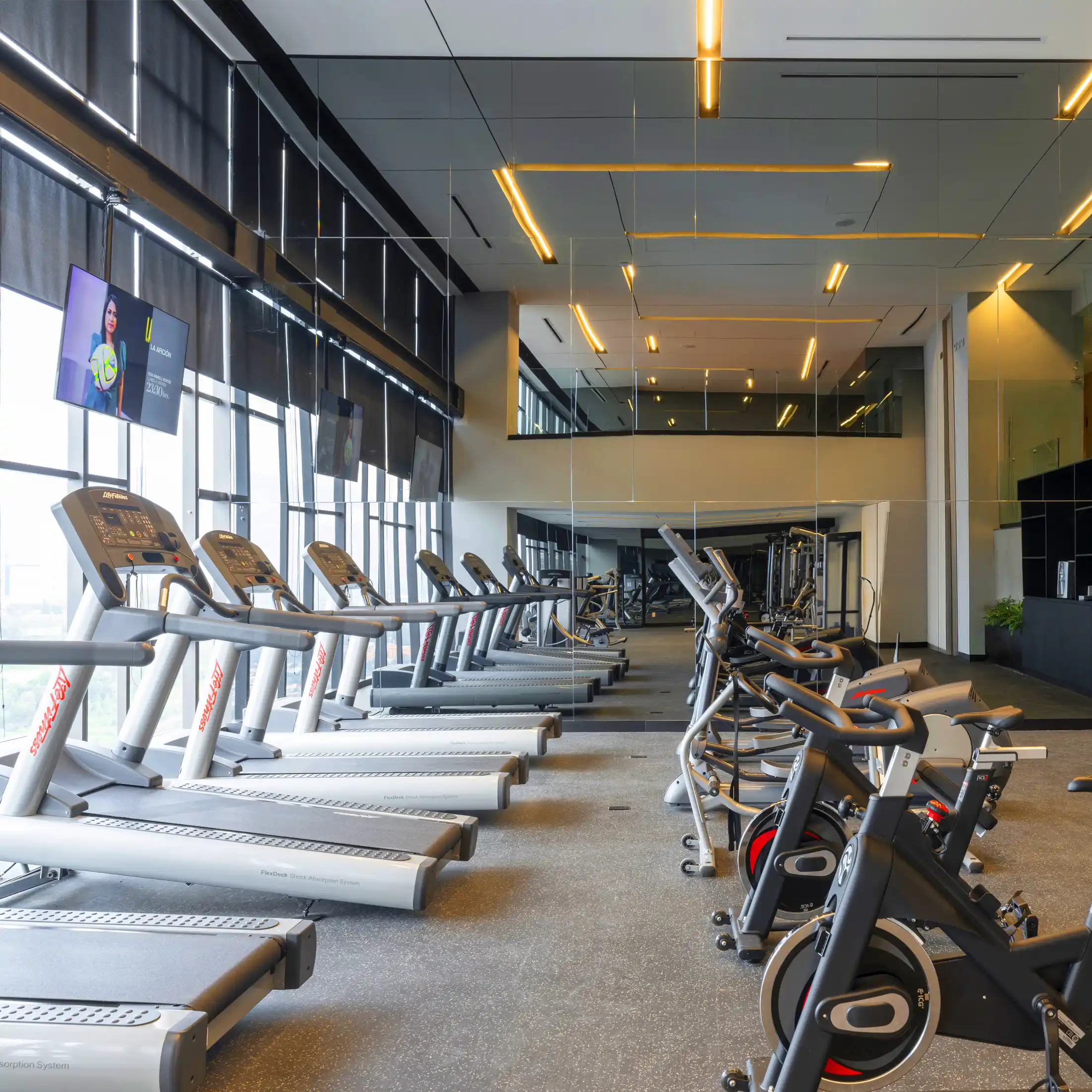 Gimnasio