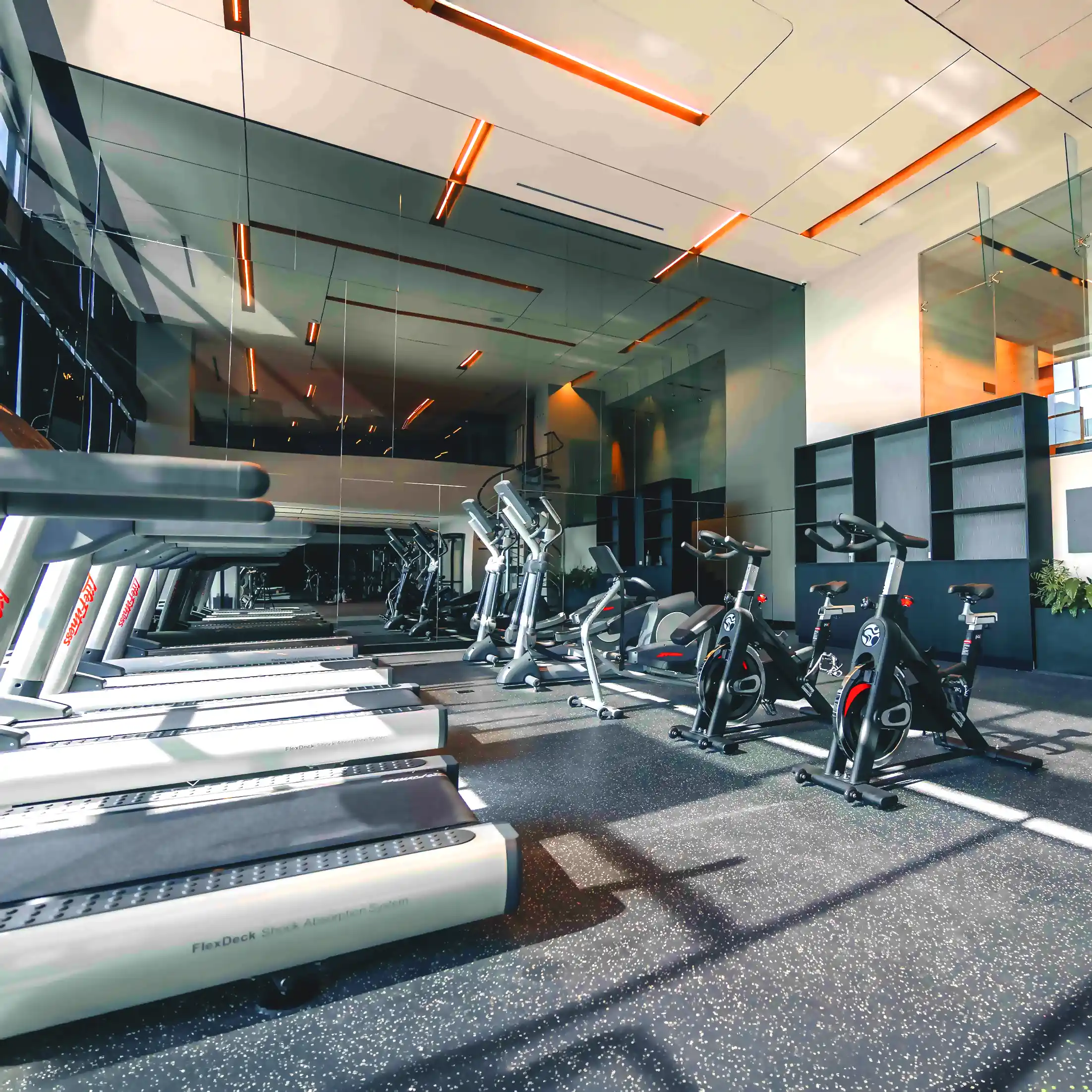 Gimnasio